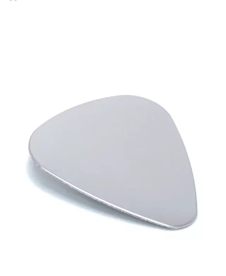 Stainless Steel Pick image 1